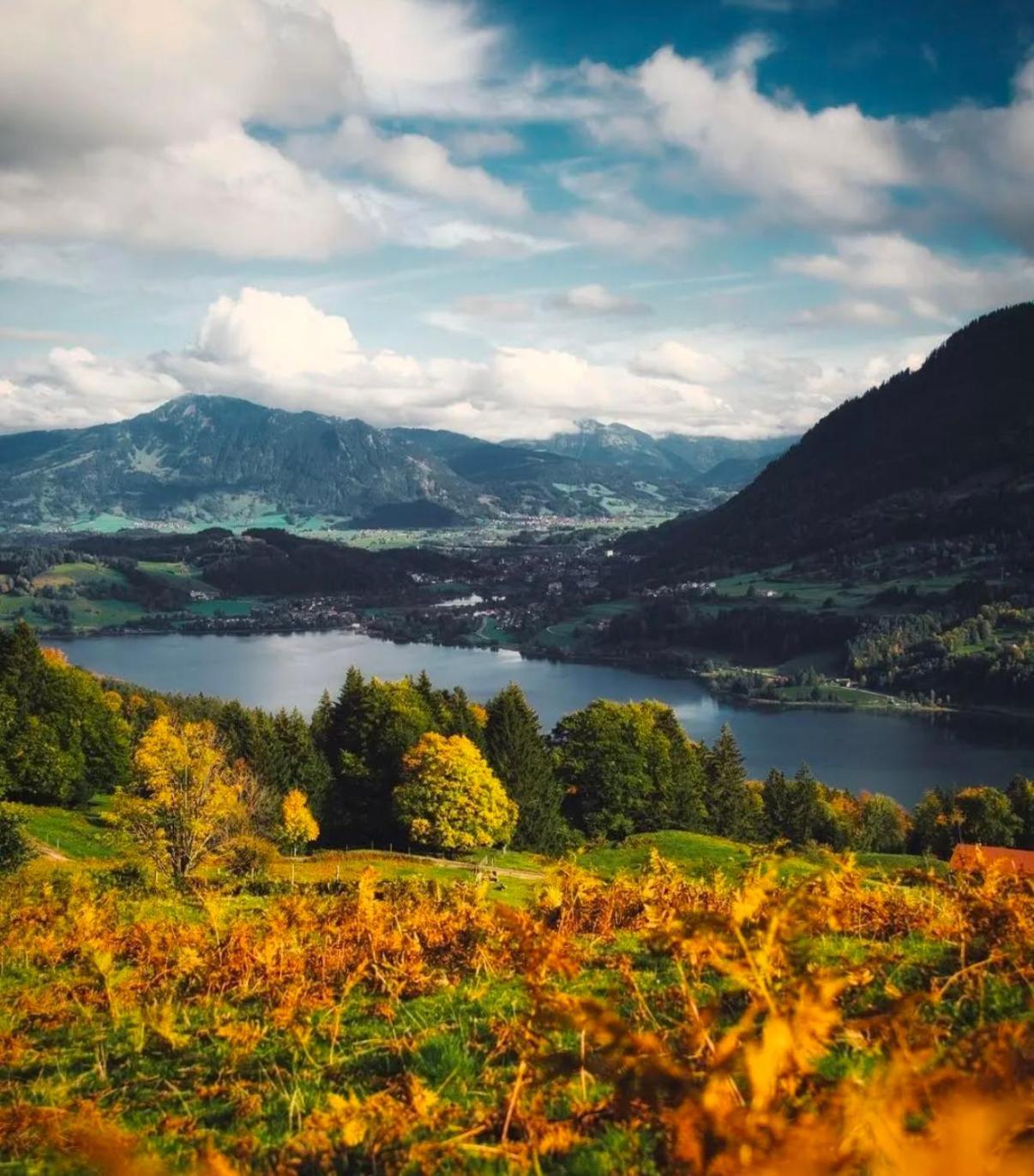 Apartment Gemuetliche Mit Berg Und Alpsee Panorama Im Allgaeu Immenstadt im Allgäu